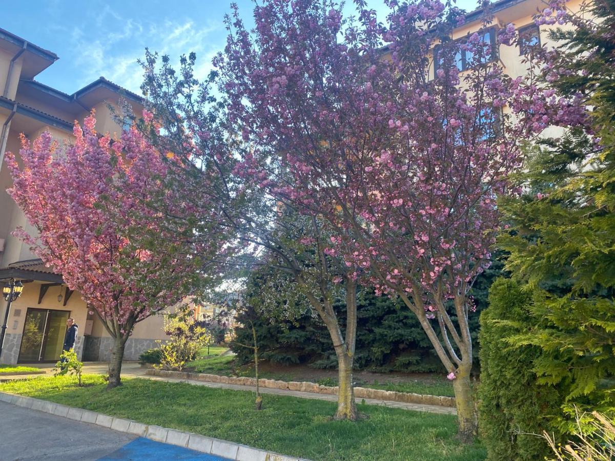 59 Kaliakria Seaview Luxury Apartment Topola Exterior foto